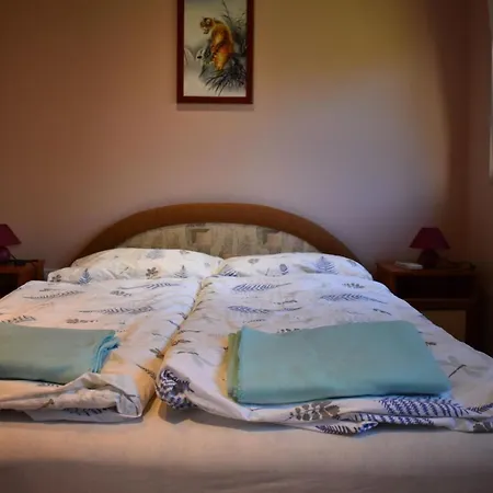 Veronica Nyaralohaz Semesterbostad Zamárdi