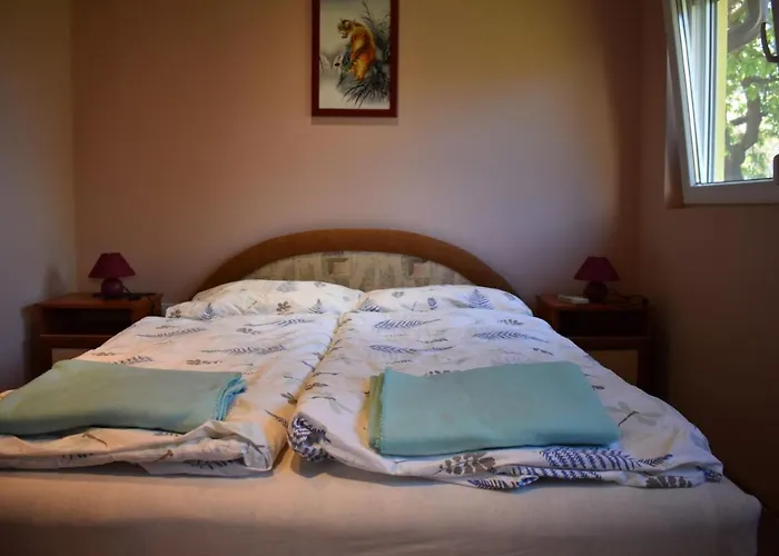 Veronica Nyaralohaz Semesterbostad Zamárdi